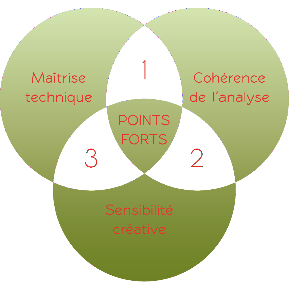 Savoir-faire  : maîtrise technique, sensibilité créative, cohérence de l'analyse