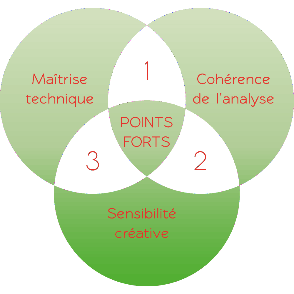 SDCG : maîtrise technique, cohérence de l'analyse, sensibilité créative