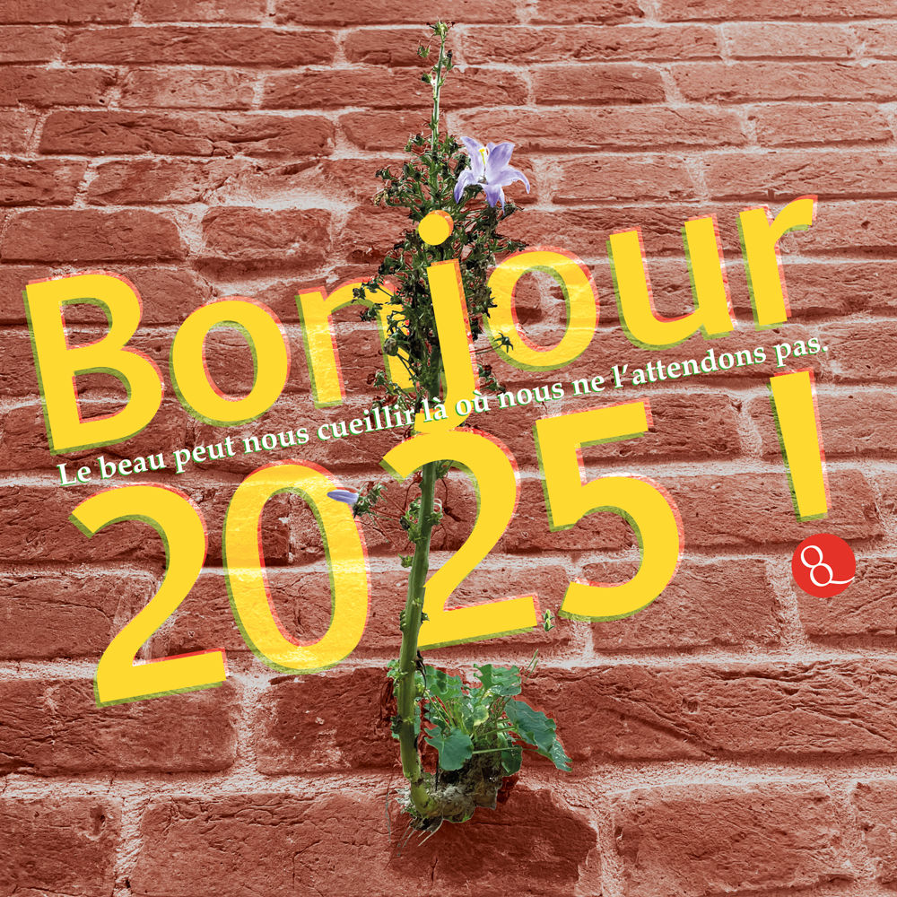 Bonne Année 2025 /  Stéphanie Dargent